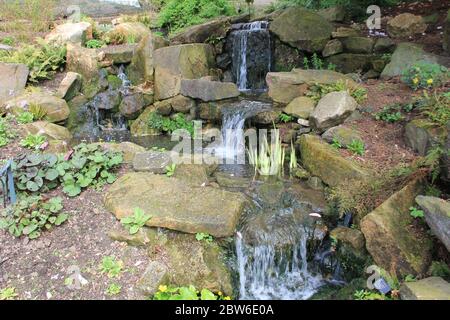 Jardins botaniques de Birmingham en Angleterre, Royaume-Uni Banque D'Images