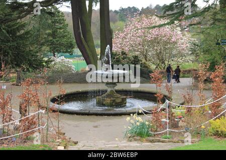 Jardins botaniques de Birmingham en Angleterre, Royaume-Uni Banque D'Images