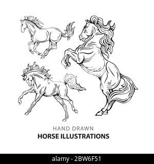 Cheval. Jeu d'illustrations de chevaux dessinées à la main. Esquisser des chevaux de dessin dans différentes poses. Partie de l'ensemble. Illustration de Vecteur