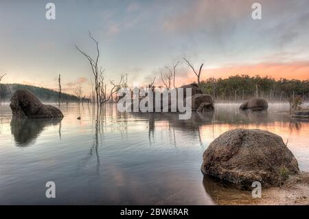 Début de matinée, lever du soleil sur les rives du lac Tinaroo, Queensland, avec des arbres au ciel coureux submergés et des rochers en premier plan. Banque D'Images