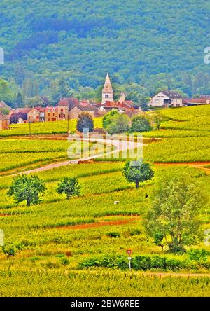 Village Auxey-Duresses, Côte-d'Or, Bourgogne, France Banque D'Images