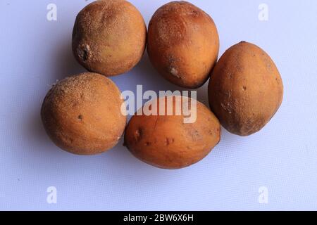 Fruits de sapota frais mûrs isolés sur fond blanc Banque D'Images