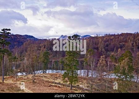 Vue sur Tarn Hows au début du printemps Banque D'Images