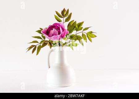 La magnifique et somptueuse pivoine d'arbre à fleurs (Paeonia rockii ou Paeonia suffruticosa rockii) dans un vase blanc sur fond blanc. Une fleur avec un Banque D'Images