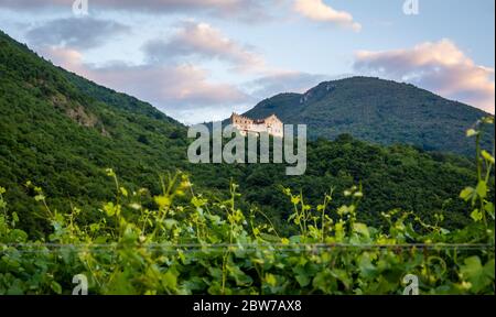 Château de Monreale à San Michele all'adige, Vallée de l'Adige - Nord de l'Italie - Château médiéval de Konigsberg Banque D'Images