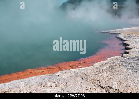 Waiotapu, également épeautre Wai-O-Tapu est une zone géothermique active à l'extrémité sud du centre volcanique d'Okataina. Il est à 27 kilomètres au sud de Rotorua Banque D'Images