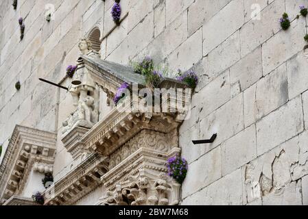 Les fleurs poussent de manière luxuriante sur les murs de l'église principale de la vieille ville d'Omis, Dalmatie, Croatie Banque D'Images