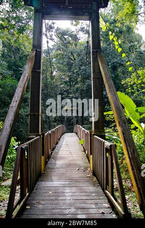 Pont suspendu menant à la Maison de la Forêt (Maison de la Forêt) à Basse-Terre, Guadeloupe Banque D'Images