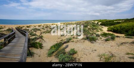 Une promenade en bois traversant les dunes menant à la plage El Portil, province Huelva, Andalousie, Espagne Banque D'Images