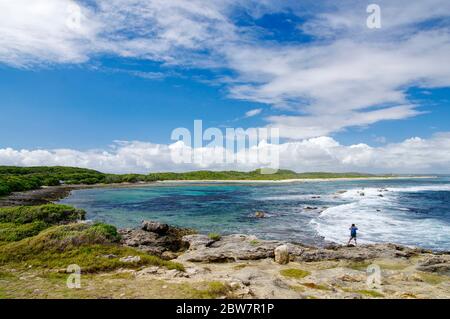 GRANDE-TERRE/GUADELOUPE - 04 JANVIER 2019 : la Pointe des Châteaux le promontoire de la Pointe des Châteaux est une péninsule qui s'étend dans l'océan Atlantique depuis l'Easte Banque D'Images