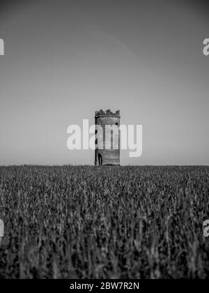 Black and White Landscape, Wilder's Folly, Tilehurst, Reading, Berkshire, Angleterre, Royaume-Uni, GB. Banque D'Images