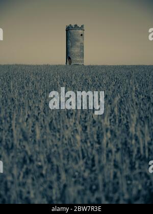 Black and White Landscape, Wilder's Folly, Tilehurst, Reading, Berkshire, Angleterre, Royaume-Uni, GB. Banque D'Images