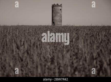 Black and White Landscape, Wilder's Folly, Tilehurst, Reading, Berkshire, Angleterre, Royaume-Uni, GB. Banque D'Images