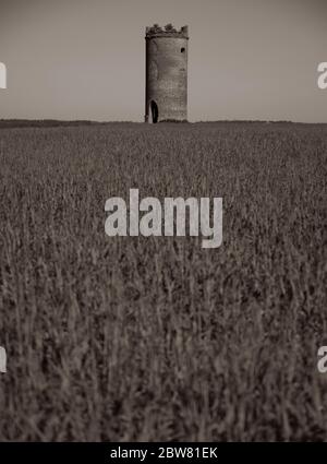 Black and White Landscape, Wilder's Folly, Tilehurst, Reading, Berkshire, Angleterre, Royaume-Uni, GB. Banque D'Images