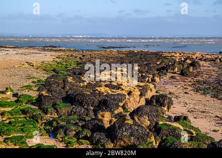 Vue sur le Solent sur un automne frais et ensoleillé à midi avec Portsmouth au loin et rochers couverts d'algues en premier plan Banque D'Images