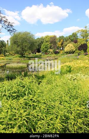 Les jardins de l'étang d'Ada Hofman à Loozen, aux pays-Bas Banque D'Images