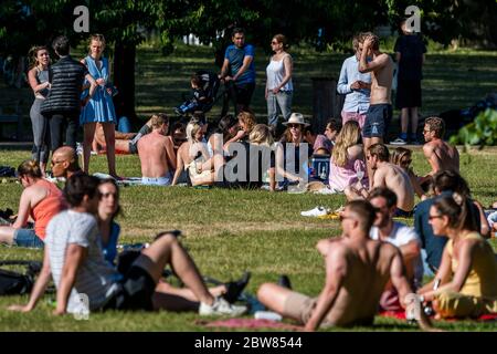 Londres, Royaume-Uni. 30 mai 2020. Les grands groupes se détendent et se rencontrent, contre-indication, dans le parc St James, au coucher du soleil. Le « verrouillage » se poursuit pour l'épidémie du coronavirus (Covid 19) à Londres. Crédit : Guy Bell/Alay Live News Banque D'Images