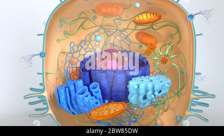 rendu 3d. modèle de cellule d'illustration 3d. Banque D'Images