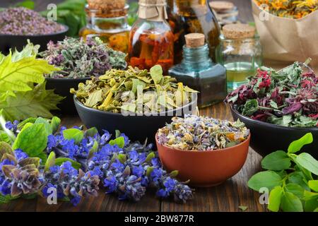 Bols d'herbes médicinales sèches - GUI, marjolaine sauvage, bruyère. Fleurs de calendula, brindilles de myrtille et fleurs de bugleherb. Assortiment d'herbes curatives an Banque D'Images