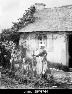 FEMME DES ANNÉES 1920 EN TABLIER TRADITIONNEL ET TÊTE COUVRANT DEBOUT À L'EXTÉRIEUR DE LA MAISON RURALE DANS LE LIT DE FLEURS DE GLADIOLA BRETAGNE FRANCE - C2456 HAR001 HARS BÂTIMENTS TRADITIONNELS SÉRÉNITÉ COUVRANT L'EUROPE AGRICULTURE B&W MAS BONHEUR COTTAGE EUROPÉEN PROPRIÉTÉ ET EXTÉRIEUR IMMOBILIER STRUCTURES EDIFICE BRETAGNE GLADIOLA JEUNE FEMME ADULTE NOIR ET BLANC CAUCASIEN ETHNICITÉ HAR001 ANCIEN MODE Banque D'Images