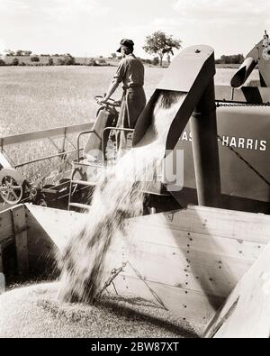 HOMME SOLITAIRE DES ANNÉES 1950 AGRICULTEUR CONDUISANT UNE MOISSONNEUSE-BATTEUSE MOISSONNANT COMBINÉ BLÉ WINNED QUI EST DÉCHARGÉ DANS UN LIT DE CAMION - F10600 HEL001 HARS PERSONNES PLEINE LONGUEUR INSPIRATION ÉTATS-UNIS D'AMÉRIQUE AGRICULTURE HOMMES RISQUE PROFESSION TRANSPORT AGRICULTURE B&W AMÉRIQUE DU NORD BLÉ BONTY RÉCOLTE NORD-AMÉRICAINE LE SUCCÈS EST COMPÉTENCES PROFESSIONNELLES ÉLEVÉ ANGLE MACHINES FORCE ET CARRIÈRES AGRICULTEURS MACHINES PROGRÈS FIERTÉ A DANS LES MÉTIERS AGRICOLES MOISSONNEUSES-BATTEUSES TRACTEURS SOLITAIRE HOMME MOYEN-ADULTE MOYEN-ADULTE QUE NOIR ET BLANC RACE BLANCHE ANCIEN DÉCHARGIÉ Banque D'Images