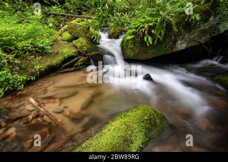 Cascade sur Rockhouse Creek - Pisgah National Forest, Brevard, Caroline du Nord, États-Unis Banque D'Images