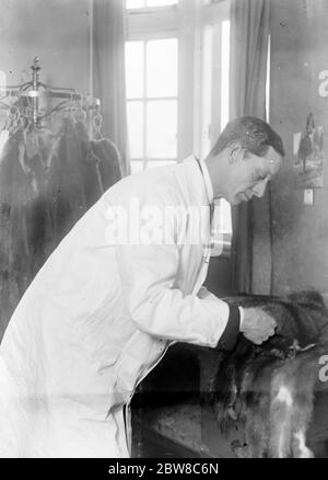 Lord Victor Paget comme furier dans un salon de la place de Hanovre . Lord Victor Paget examinant certains de ses sables. 31 janvier 1927 Banque D'Images