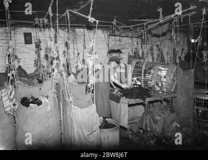 Marchands de fer et de déchets . 1937 . Banque D'Images