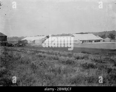 Vue sur le stade Crayford Greyhound. 1er juillet 1937 Banque D'Images