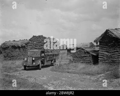 Bedford van, R W Farman . 19 août 1937 le patching de roseau à Norfolk. M. R. W. Farman, de North Walsham, le dernier représentant de travail d'une ancienne famille de thatching de roseaux de Norfolk. Banque D'Images