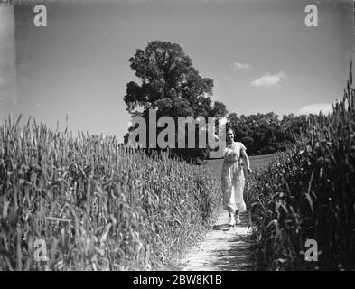 Une jeune femme marche sur un chemin dans un champ de maïs . 1935 Banque D'Images