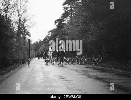 La tête huntsman mène le paquet le long de la route . 25 octobre 1937 Banque D'Images