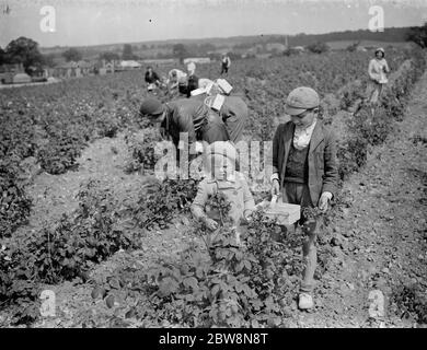 Avec leurs paniers aux enfants prêts à cueillir des ramberrys dans Sidcup . 1935 . Banque D'Images