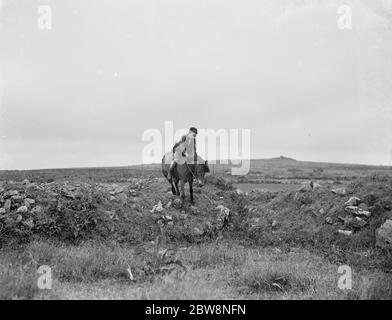 Un jeune garçon fait un cheval de randonnée. 1936 . Banque D'Images