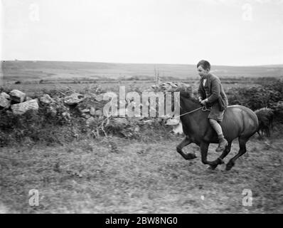 Un jeune garçon fait un cheval de randonnée. 1936 . Banque D'Images