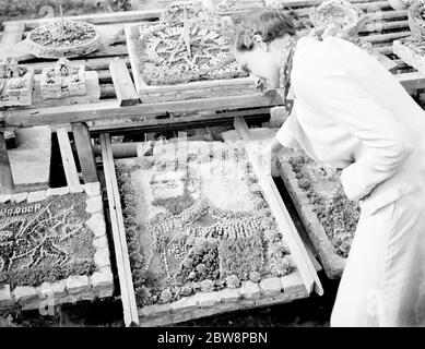 Un portrait du roi George V dans des plantes de roche pour ses célébrations du Jubilé . 1935 Banque D'Images