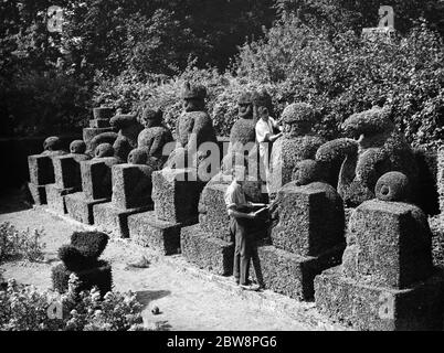 Un homme de terrain tond les figures topiaires au château de Hever . 1938 Banque D'Images