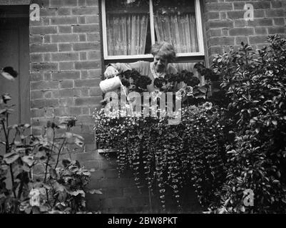 Mme Annie Longhurst , gagnante du prix de la vitrine à Crockenhill . 1938 Banque D'Images