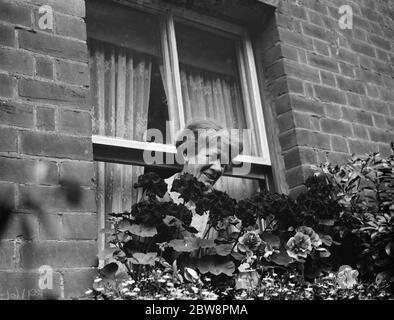 Mme Annie Longhurst , gagnante du prix de la vitrine à Crockenhill . 1938 Banque D'Images