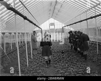 Les jeunes étudiantes prennent des notes lors d'une démonstration de verre au Collège horticole , Swanley , Kent . 1935 Banque D'Images