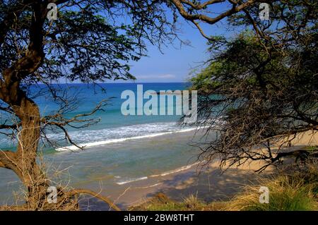 Les nageurs apprécient l'eau douce et les plages en pente de la côte de Kohala sur la grande île d'Hawaï. Des arbres et des branches encadrent la plage. Banque D'Images