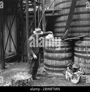 Un exemple de méthodes de fabrication primitive dans les années 1930, un homme verse de l'acide sulfurique sur des barres de cadmium à l' usine chimique Tyke and Kings . 1936 Banque D'Images