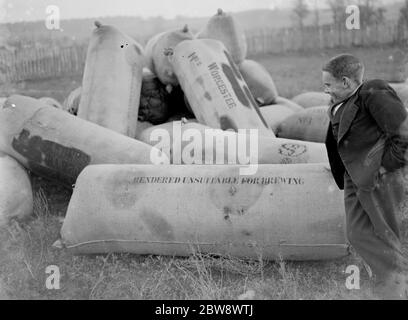 Sacs de surplus de houblon qui seront utilisés comme fumier . 1936 Banque D'Images