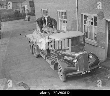 Un camion Bedford appartenant à L E Wrights and Co , les entrepreneurs de Maidstone , Kent , étant déchargé . 1936 Banque D'Images