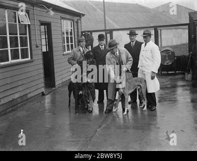 Maire et Mayoress au stade de crayford greyhound. M. C Parnell M. E Owen , Maire et Mayoress , M. et Mme G J Buckingham . M. P Adams et M. H Parsons ( formateur ) . 1938 . Banque D'Images