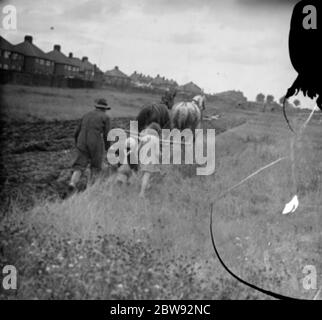 Les enfants suivent un agriculteur et son équipe de chevaux labourant un champ à New Eltham , Londres . 1939 . Banque D'Images