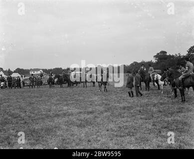 Un spectacle de chevaux à Westerham , Kent . 1936 Banque D'Images