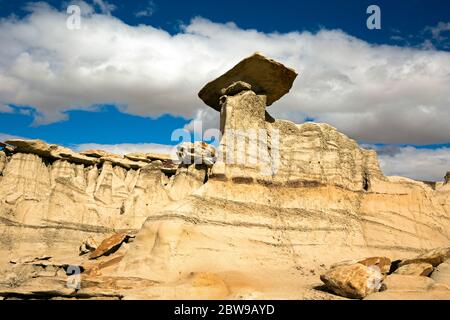 NM00249-00...NOUVEAU MEXIQUE - chapeau de grès sur un hoodoo dans la région sauvage de Bisti. Banque D'Images