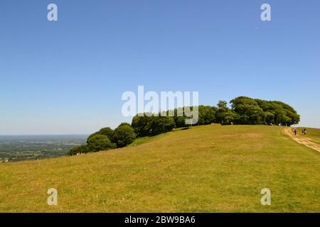 Une belle journée de début d'été à l'anneau de Chanchtonbury, West Sussex, sur la South Downs Way Banque D'Images