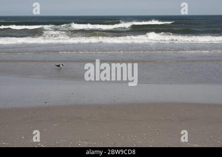 Beach Banque D'Images
